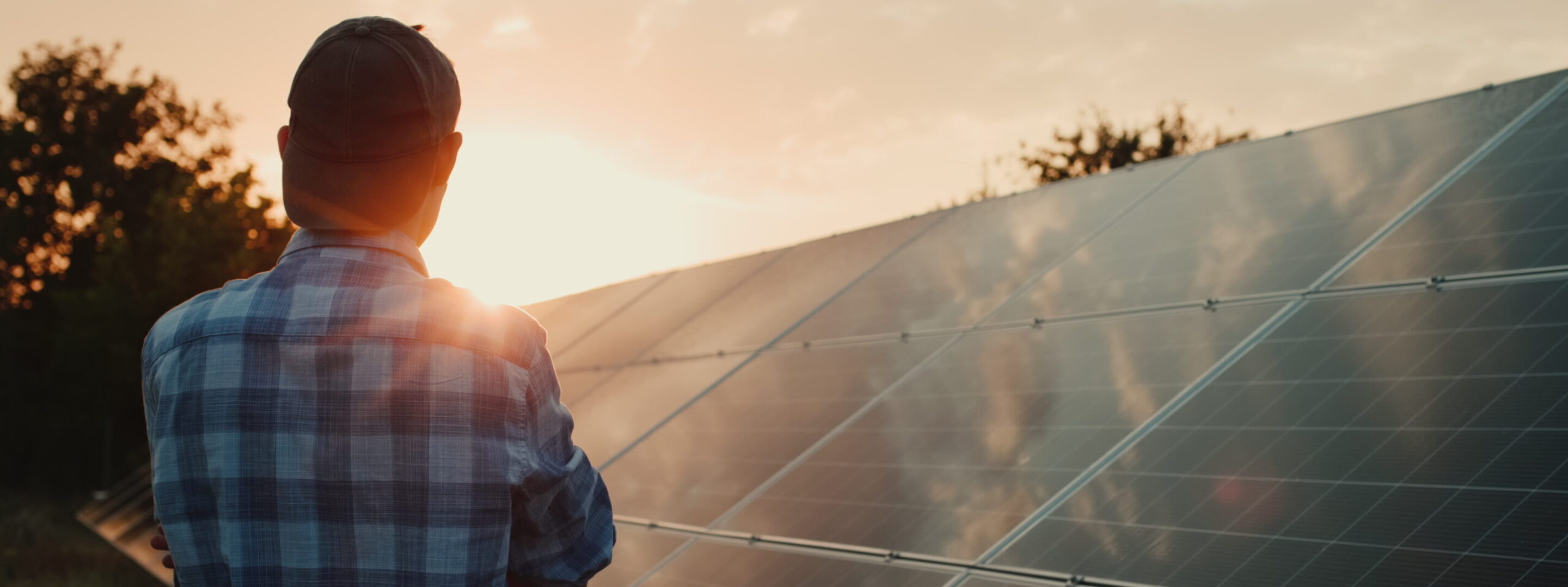 Advocating for green energy policies