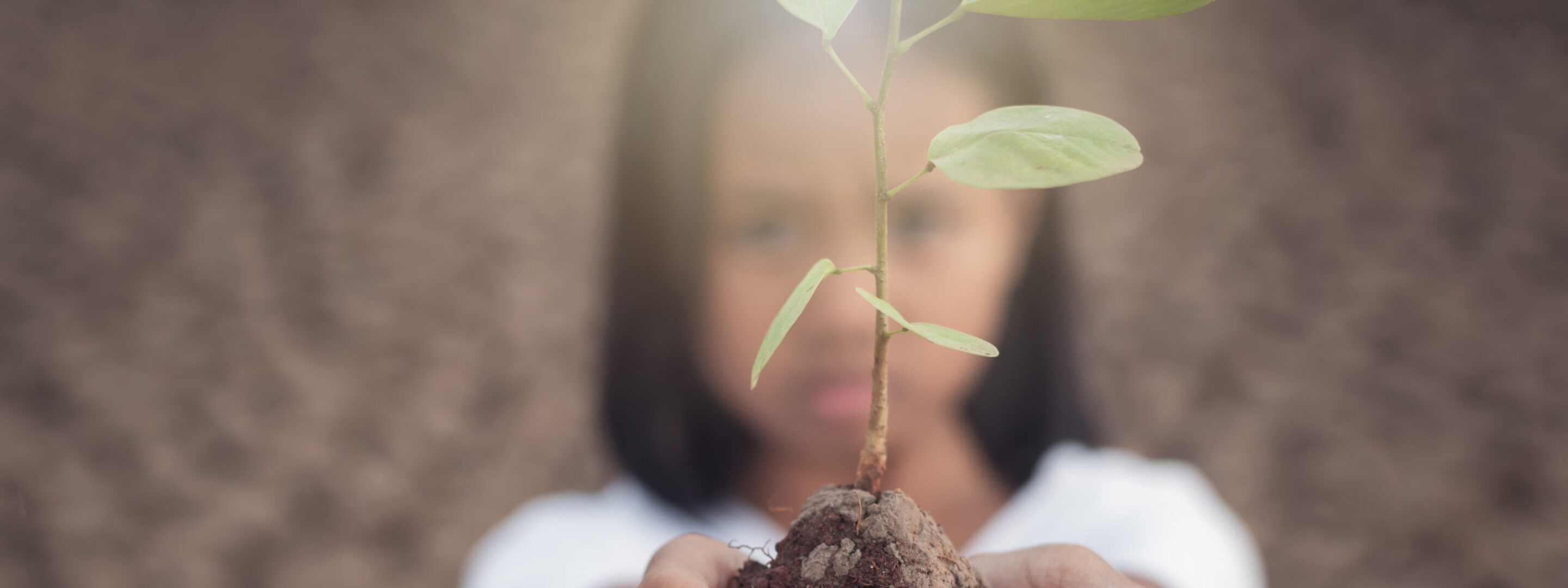 Scope 1 & 2: Reducing our own carbon footprint